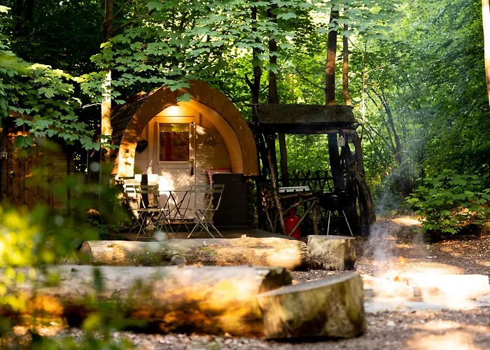 Hollington Park Glamping