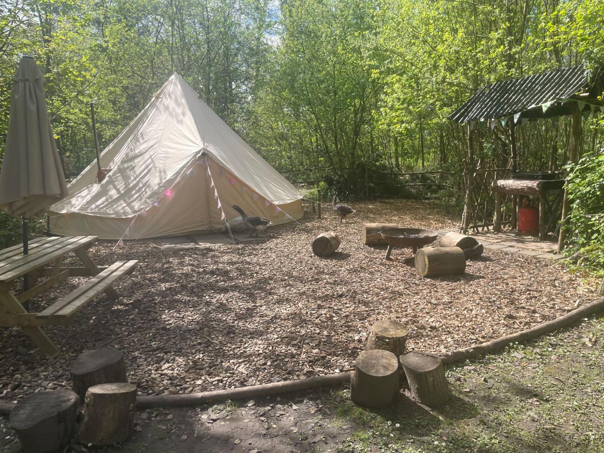 Hollington Park Glamping Newbury (Berkshire)