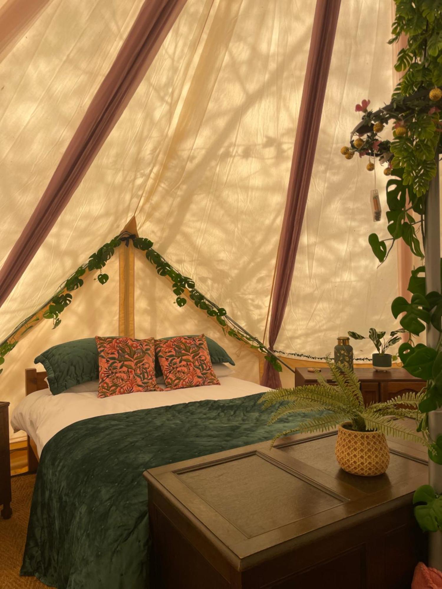 Hollington Park Glamping 2*