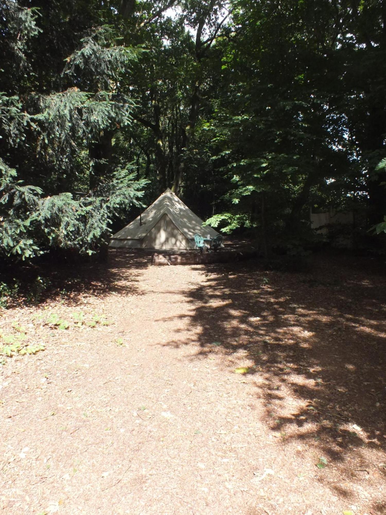 Campsite Hollington Park Glamping Newbury (Berkshire)