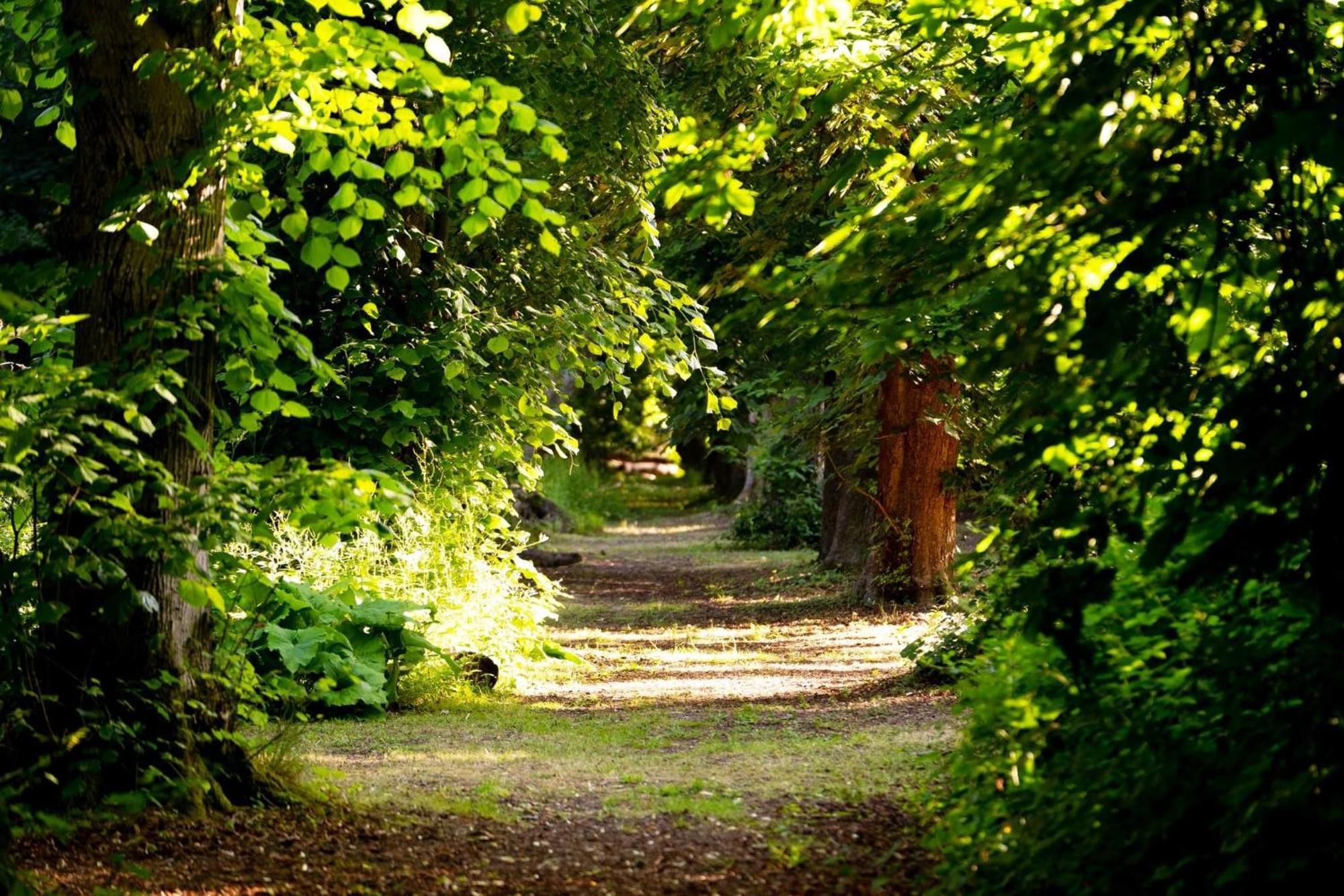 Hollington Park Glamping Newbury (Berkshire)