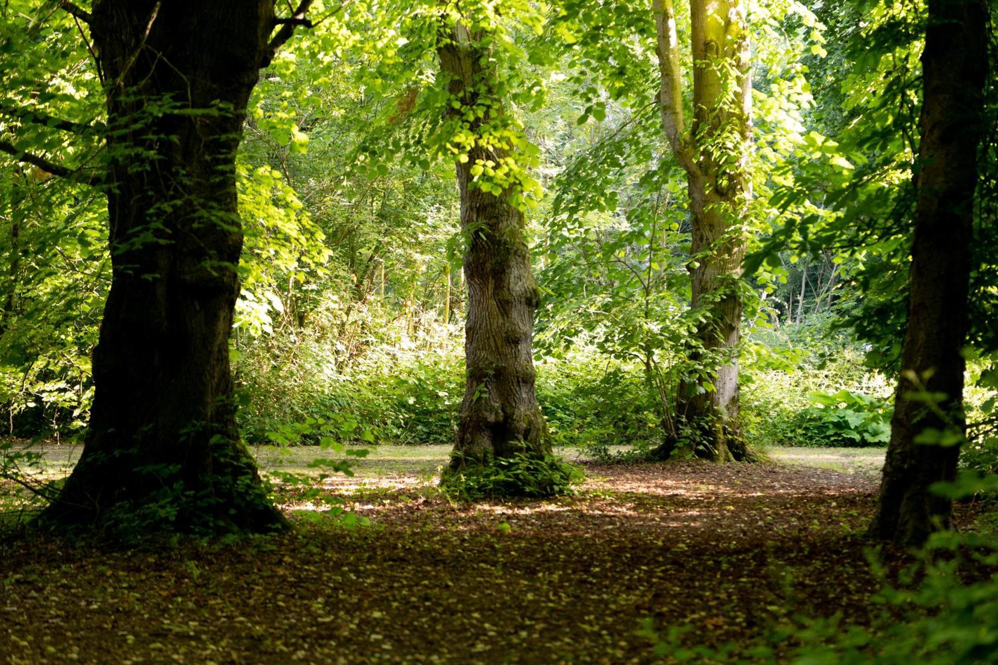 Campsite Hollington Park Glamping