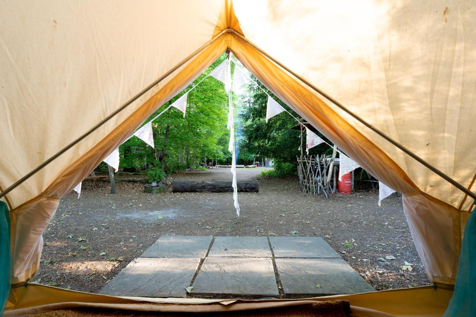 Hollington Park Glamping Campsite 2*