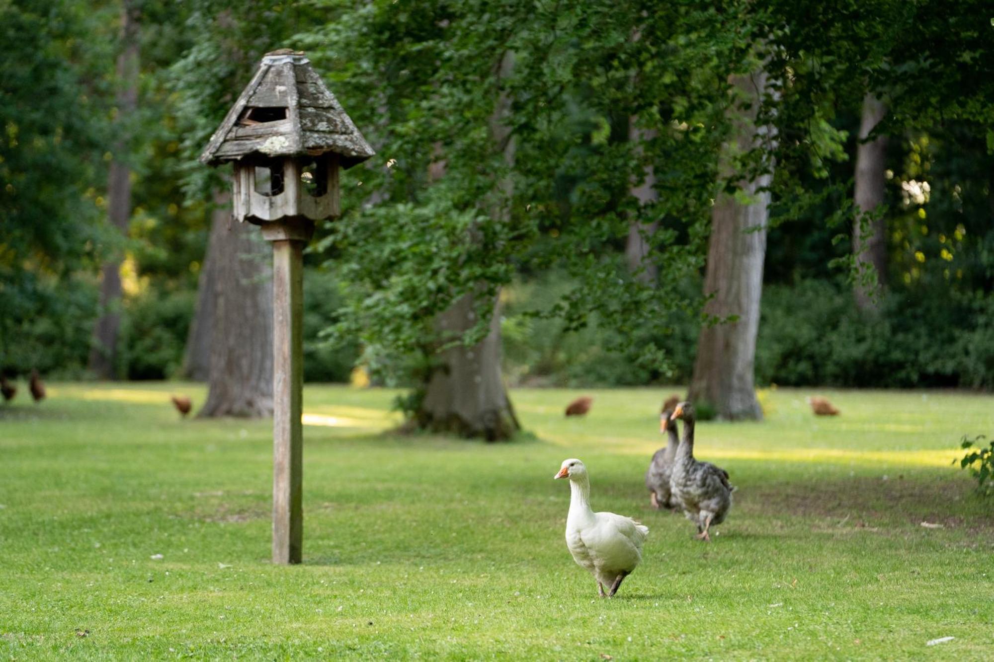 Campsite Hollington Park Glamping Newbury (Berkshire)