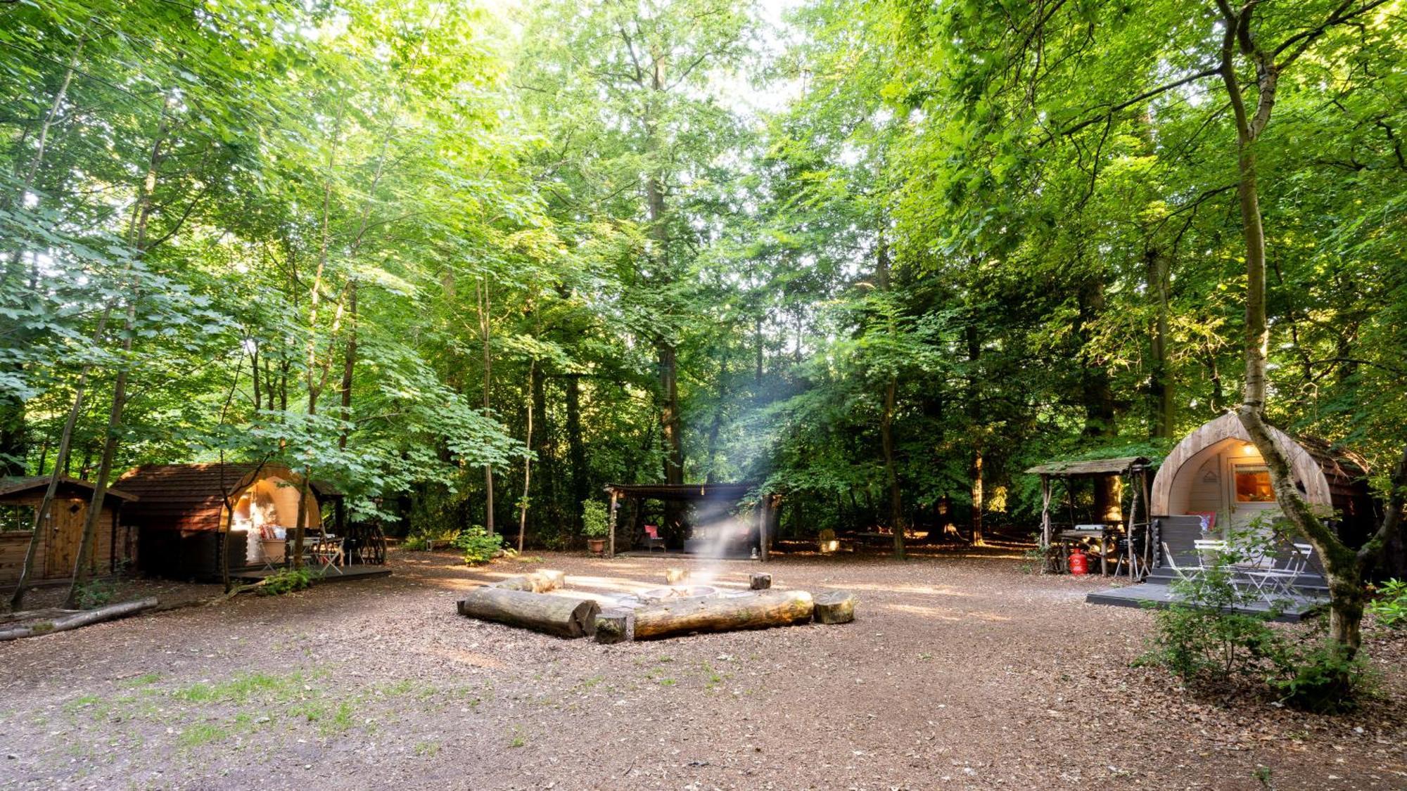 Hollington Park Glamping Newbury (Berkshire)