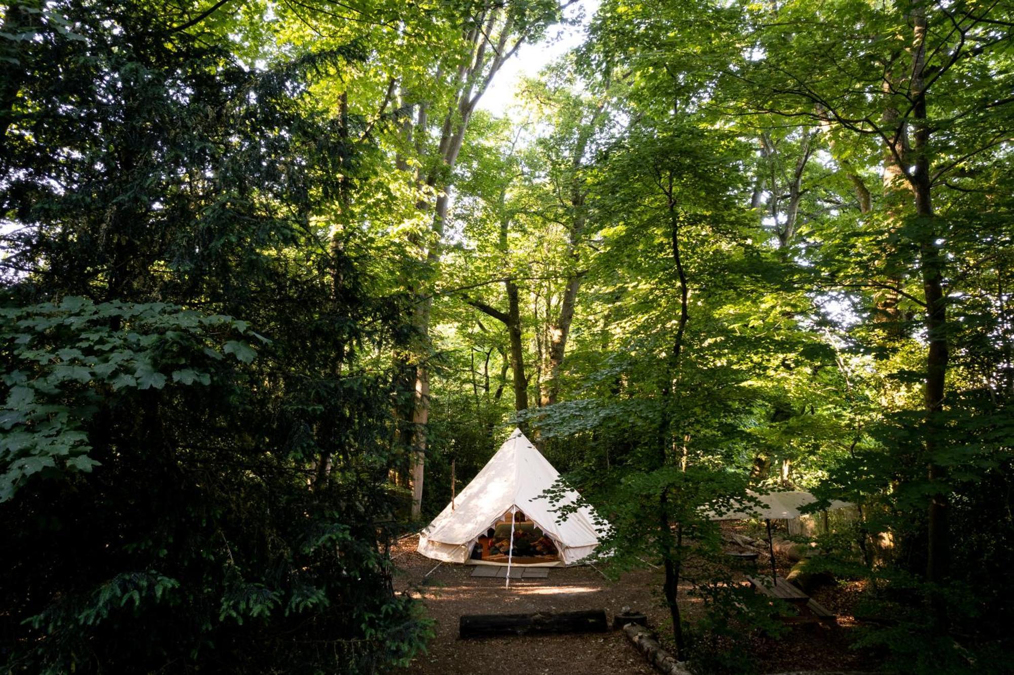 Hollington Park Glamping