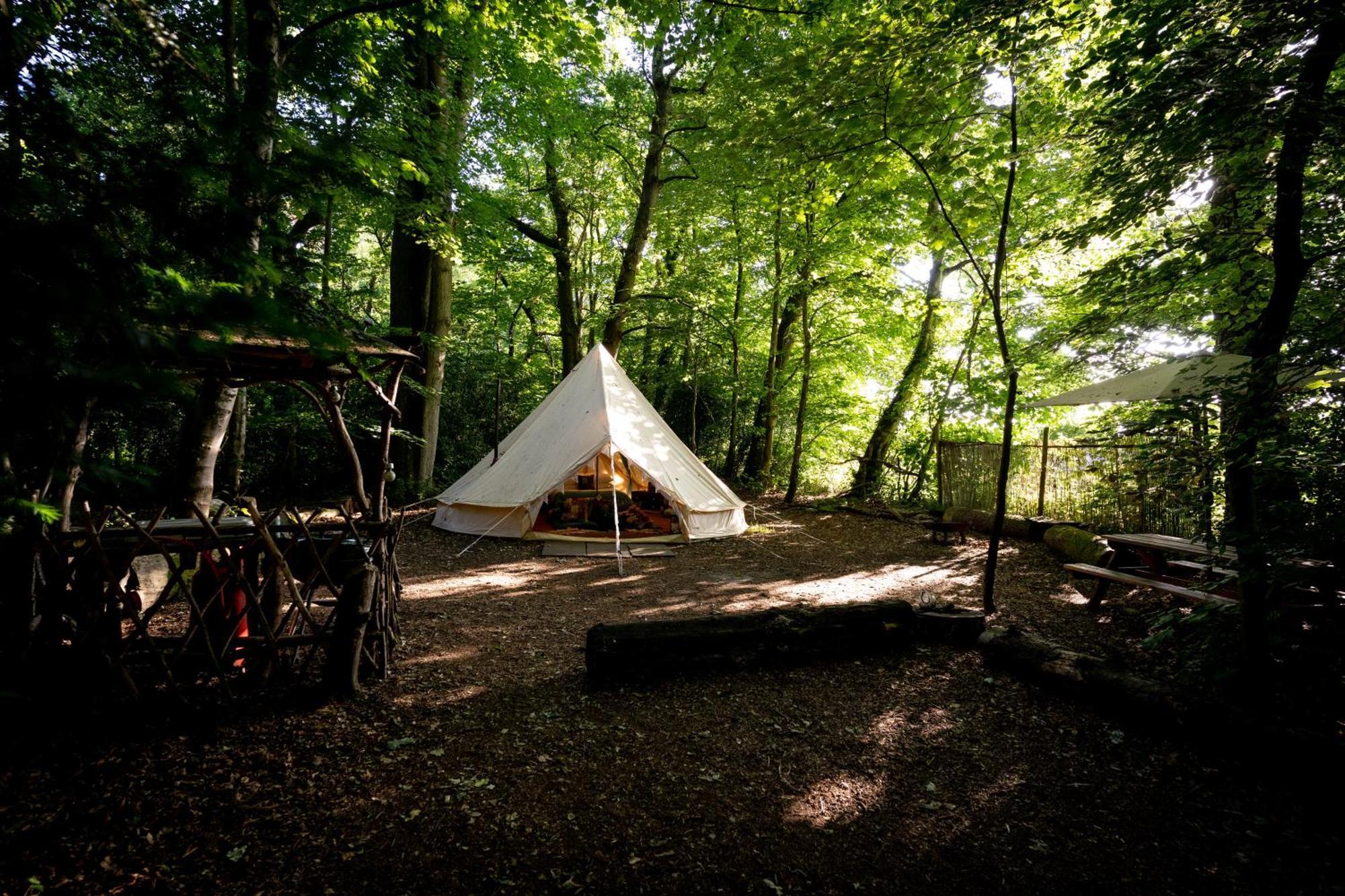 Hollington Park Glamping Campsite