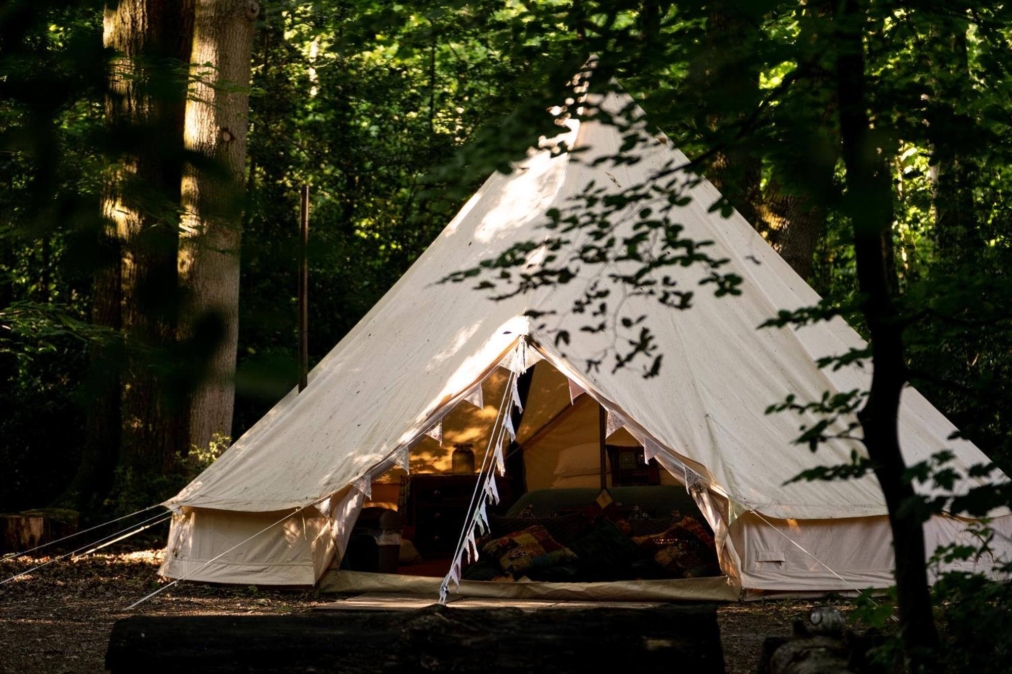 Hollington Park Glamping Newbury (Berkshire)