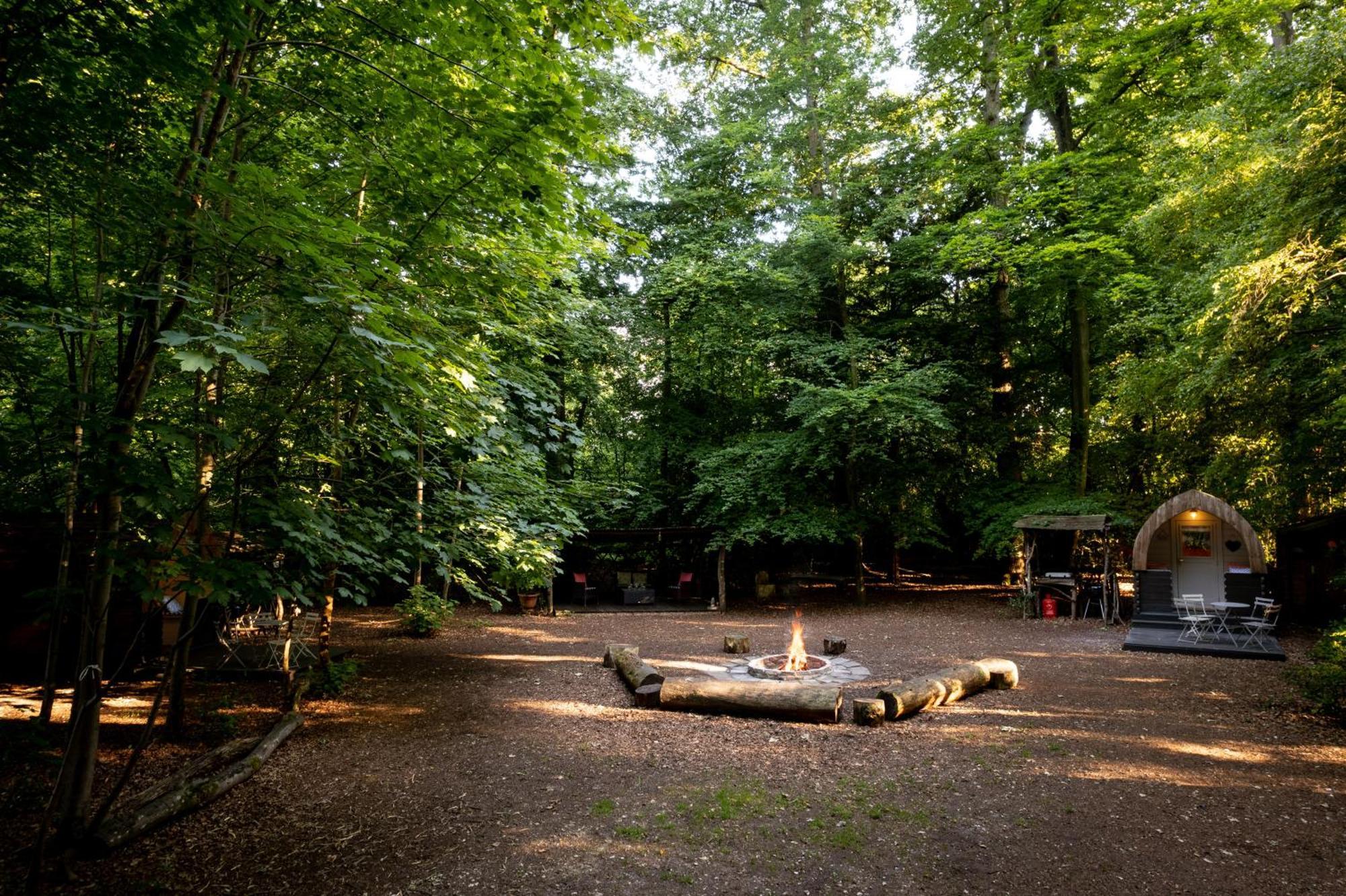 Hollington Park Glamping Campsite 2*
