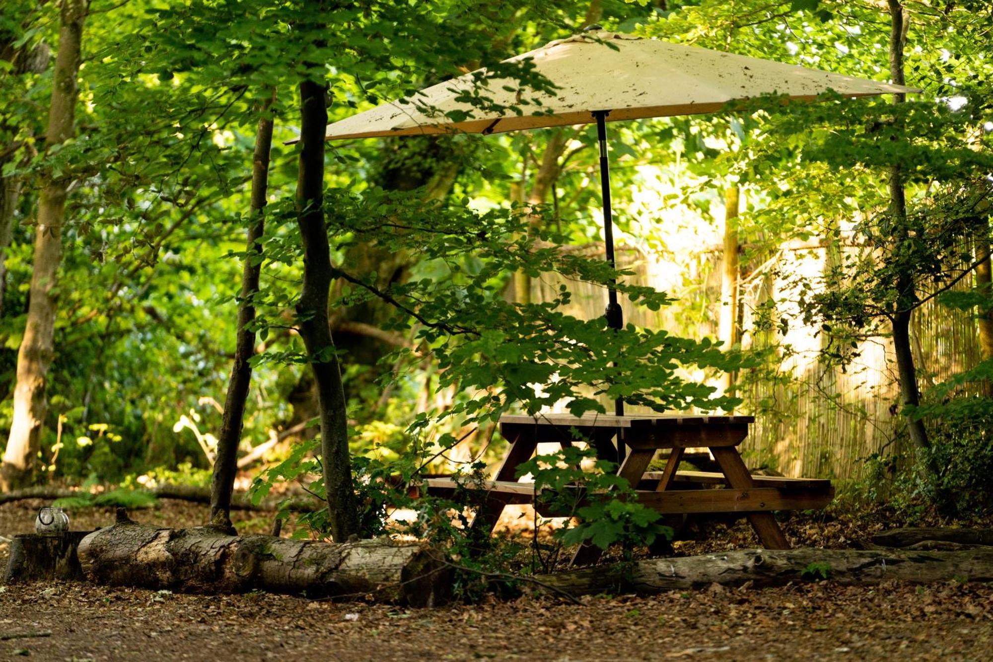 Hollington Park Glamping 2*