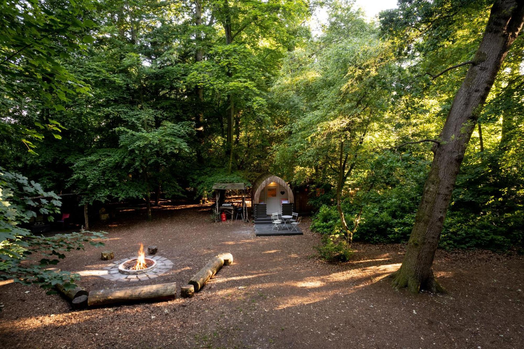 Hollington Park Glamping Campsite Newbury (Berkshire)
