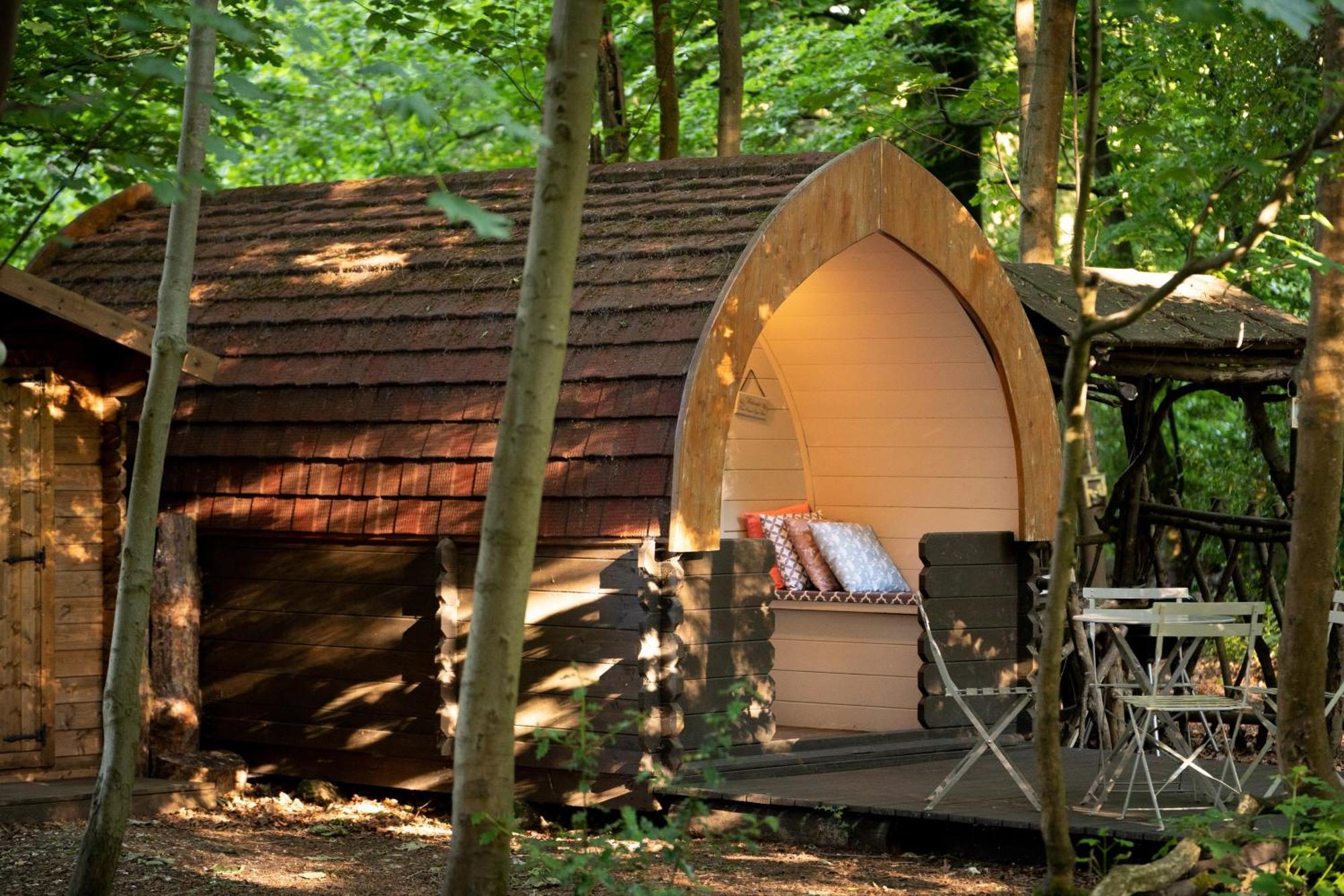 Hollington Park Glamping Campsite 2*