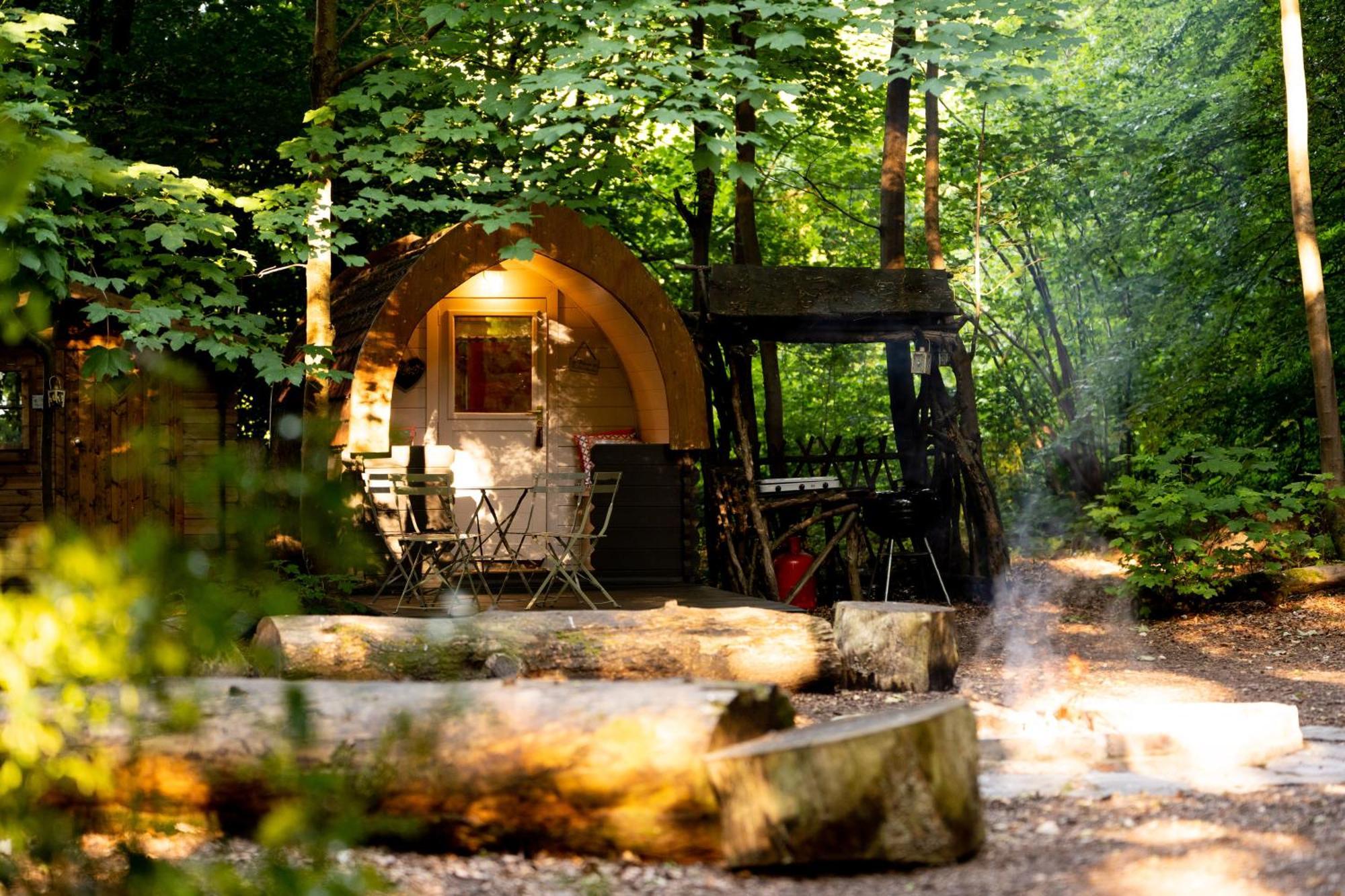 Hollington Park Glamping Campsite